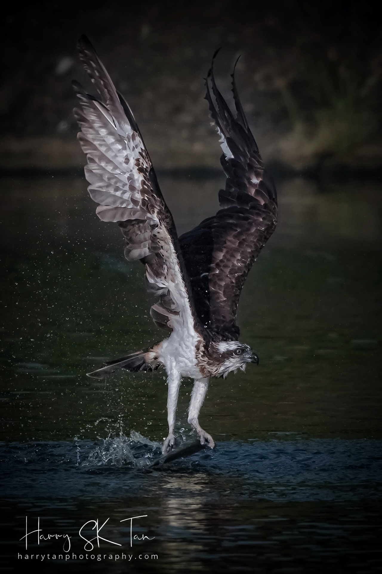 Krabi Overseas Workshop, Jan 2026